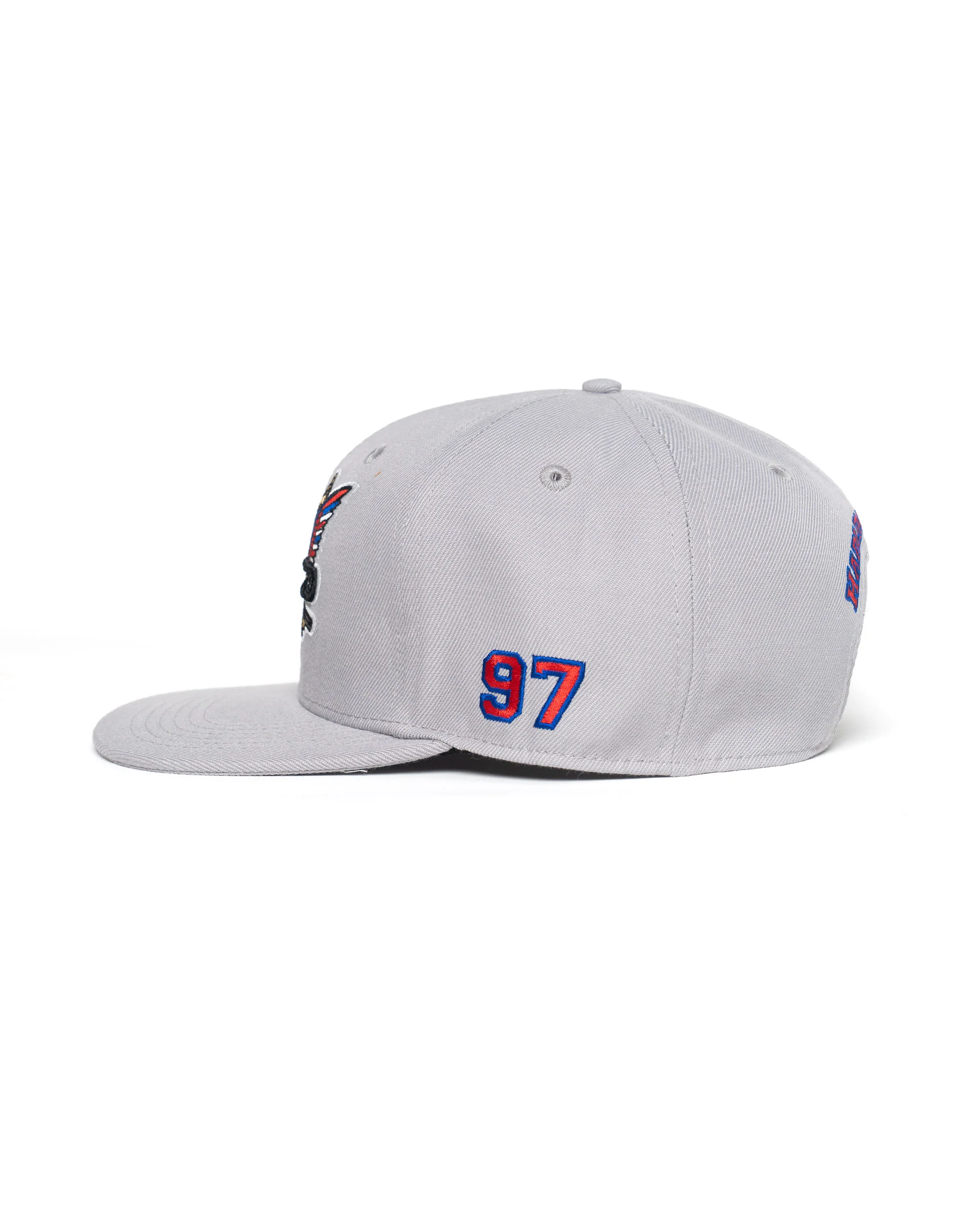 Classic Dipset Snapback Gray - Image 3